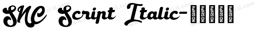 SNC Script Italic字体转换